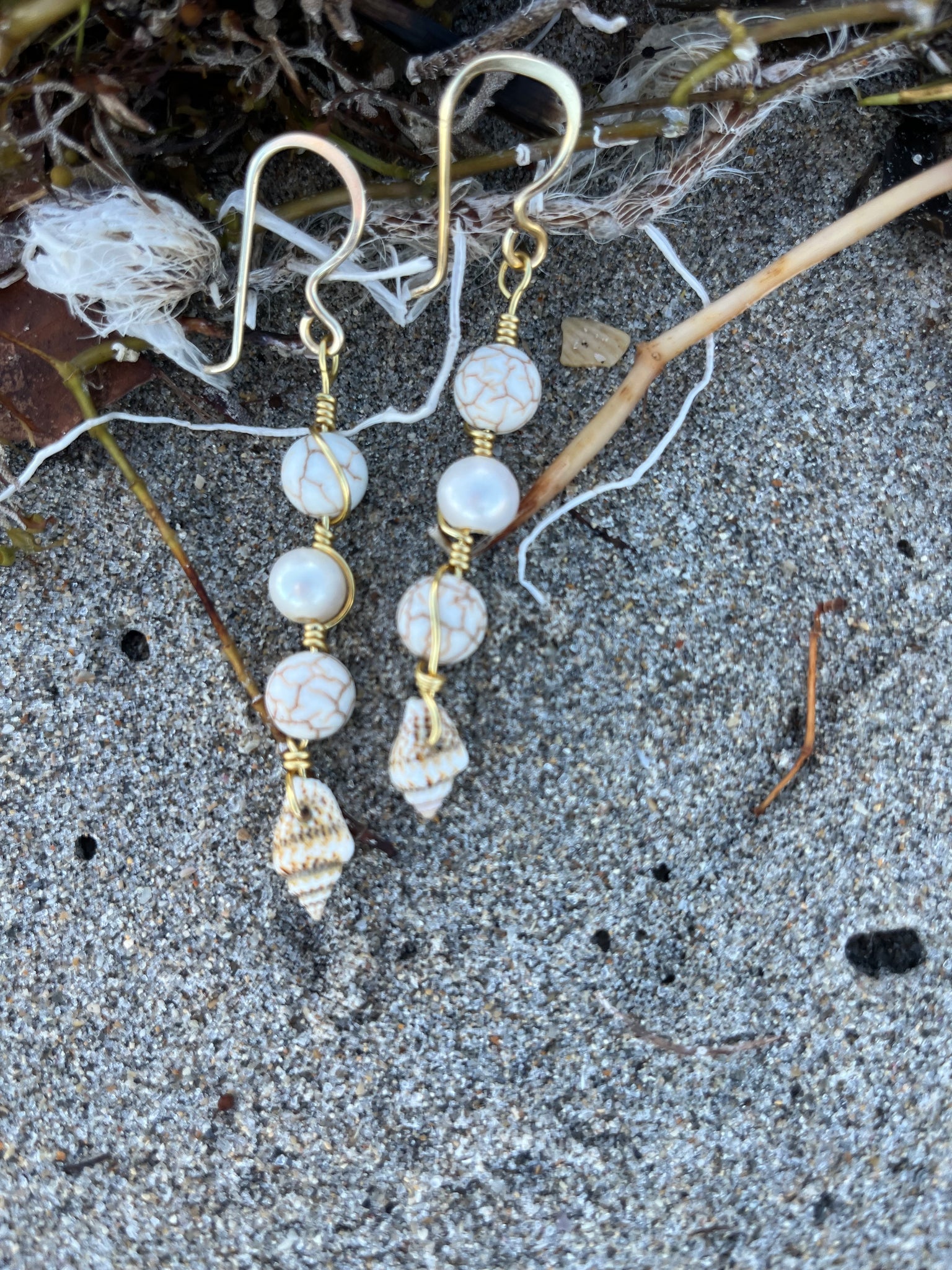 Cantharus Seashell Dangle Earrings