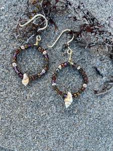 Cantharus Seashell Hoop Earrings